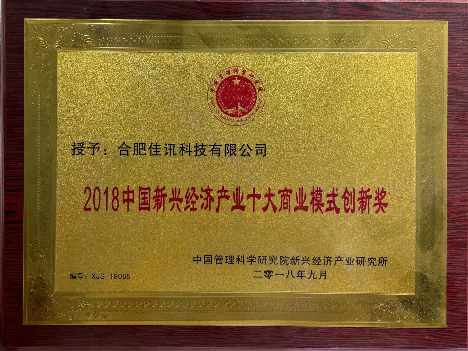 27.2018中国新兴经济产业十大商业模式创新奖